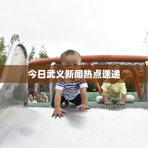 今日武義新聞熱點速遞