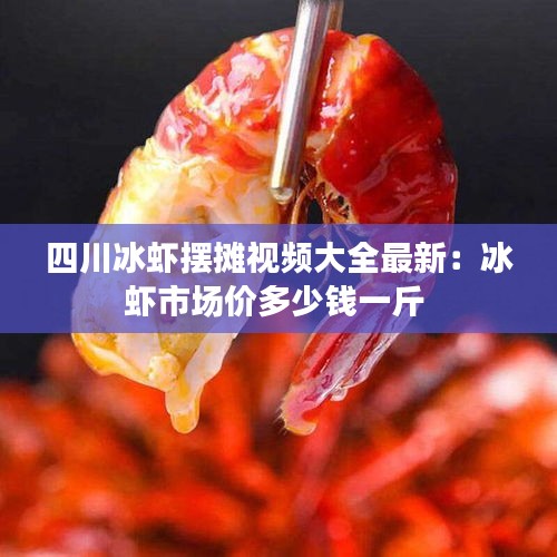 四川冰蝦擺攤視頻大全最新：冰蝦市場價(jià)多少錢一斤 