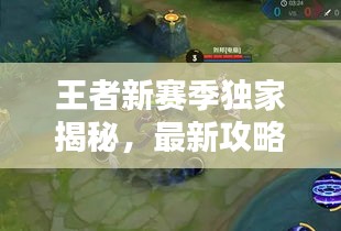 王者新賽季獨家揭秘，最新攻略與精彩軼聞一網(wǎng)打盡！