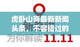 虎臥山崗最新新聞頭條，不容錯過的現(xiàn)場報(bào)道！