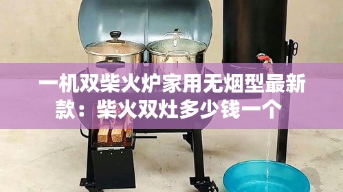 一機(jī)雙柴火爐家用無煙型最新款：柴火雙灶多少錢一個(gè) 