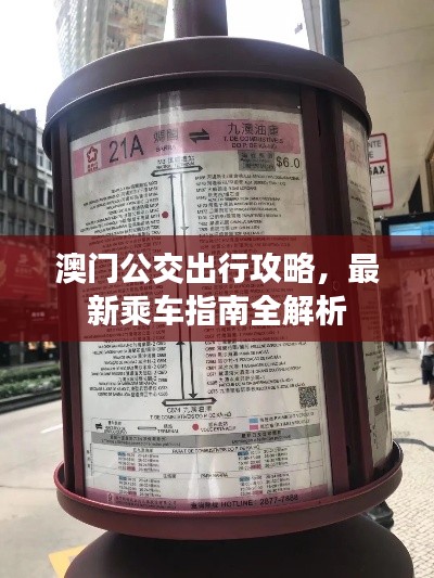 張燈結(jié)彩 第4頁