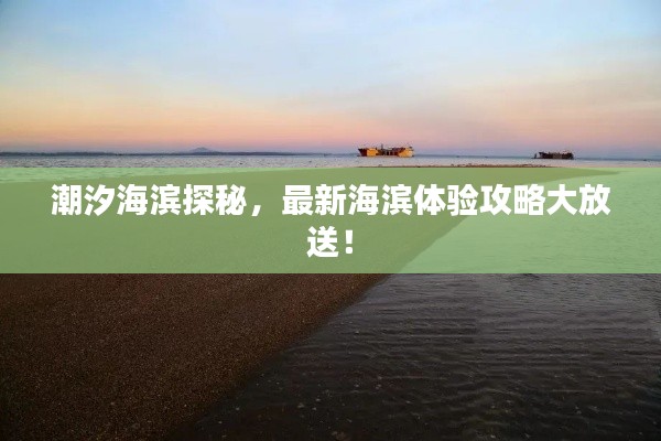 潮汐海濱探秘，最新海濱體驗攻略大放送！