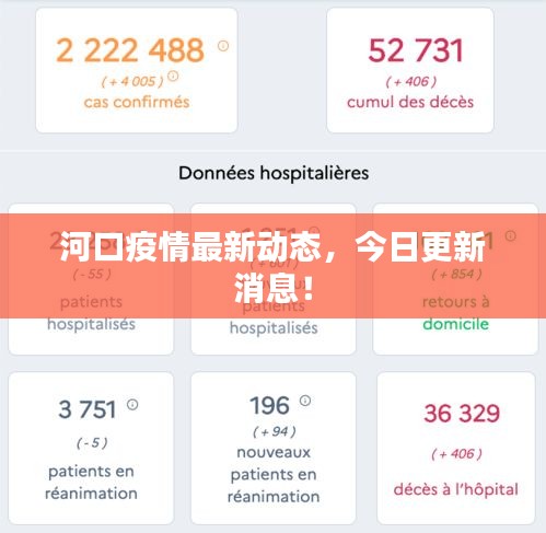 河口疫情最新動態(tài)，今日更新消息！