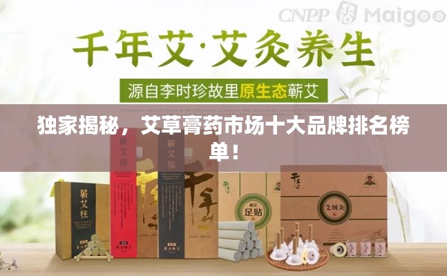 獨家揭秘，艾草膏藥市場十大品牌排名榜單！