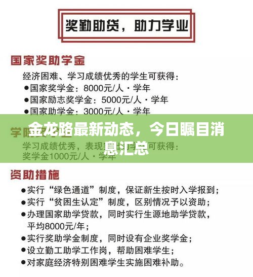 金龍路最新動態(tài)，今日矚目消息匯總
