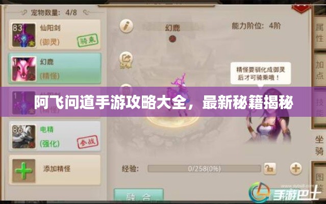 阿飛問道手游攻略大全，最新秘籍揭秘