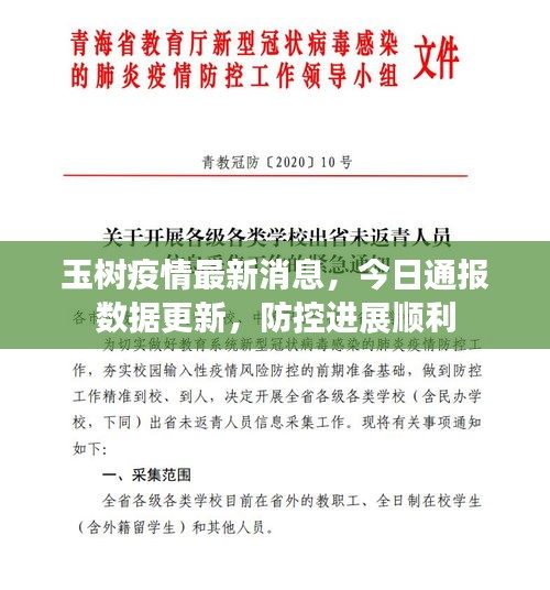玉樹疫情最新消息，今日通報(bào)數(shù)據(jù)更新，防控進(jìn)展順利