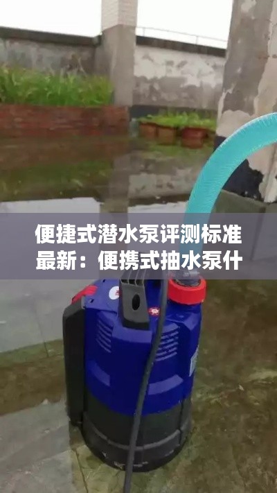 便捷式潛水泵評(píng)測標(biāo)準(zhǔn)最新：便攜式抽水泵什么牌子的好 