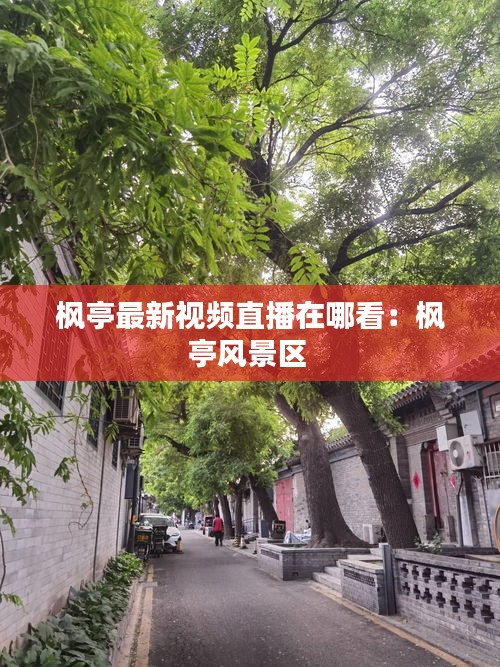 楓亭最新視頻直播在哪看：楓亭風(fēng)景區(qū) 