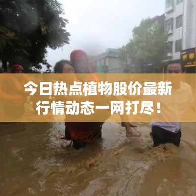 今日熱點(diǎn)植物股價(jià)最新行情動(dòng)態(tài)一網(wǎng)打盡！