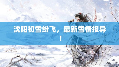 沈陽初雪紛飛，最新雪情報(bào)導(dǎo)！