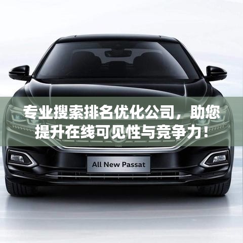 專業(yè)搜索排名優(yōu)化公司，助您提升在線可見性與競爭力！