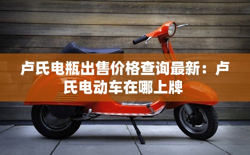盧氏電瓶出售價格查詢最新：盧氏電動車在哪上牌 