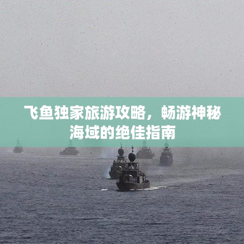 飛魚獨(dú)家旅游攻略，暢游神秘海域的絕佳指南