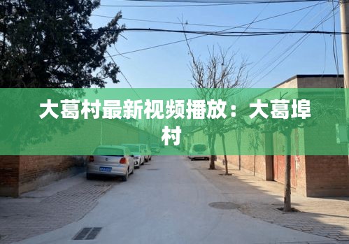 大葛村最新視頻播放：大葛埠村 