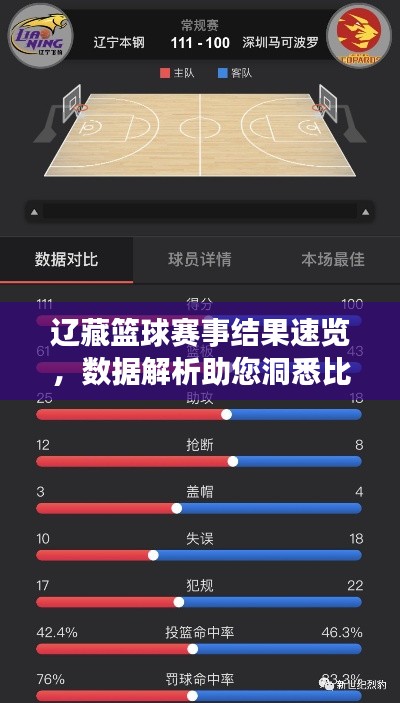 遼藏籃球賽事結(jié)果速覽，數(shù)據(jù)解析助您洞悉比賽動態(tài)