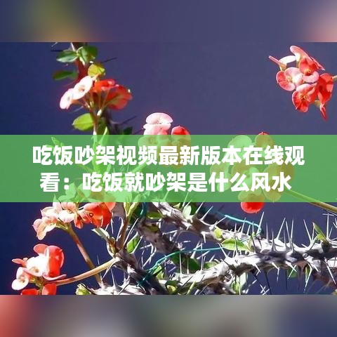 吃飯吵架視頻最新版本在線觀看：吃飯就吵架是什么風(fēng)水 