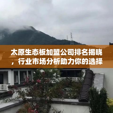 太原生態(tài)板加盟公司排名揭曉，行業(yè)市場分析助力你的選擇！
