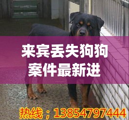 富貴驕人 第4頁