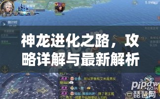 神龍進(jìn)化之路，攻略詳解與最新解析