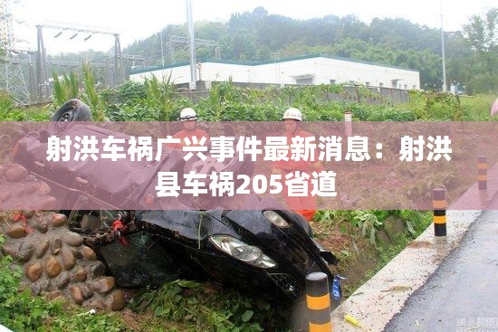 射洪車禍廣興事件最新消息：射洪縣車禍205省道 