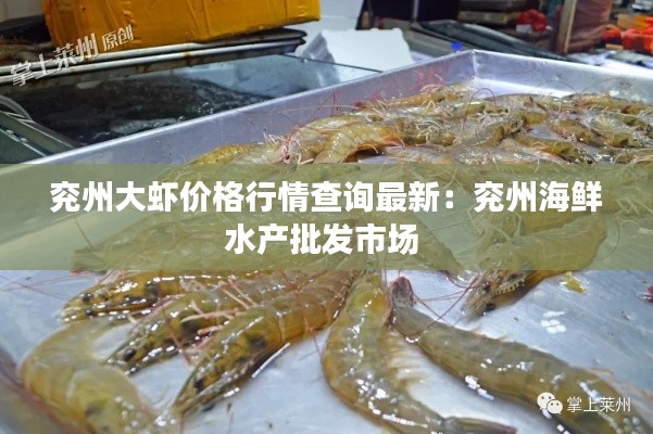 兗州大蝦價格行情查詢最新：兗州海鮮水產(chǎn)批發(fā)市場 