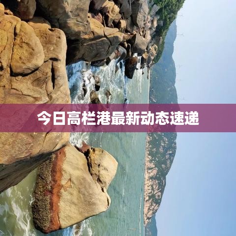 今日高欄港最新動態(tài)速遞