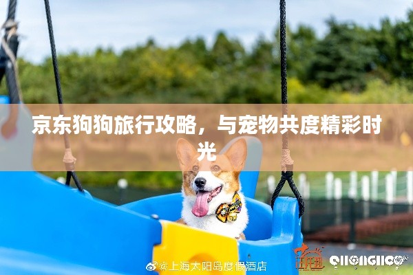 京東狗狗旅行攻略，與寵物共度精彩時光