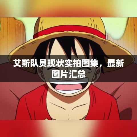 艾斯隊(duì)員現(xiàn)狀實(shí)拍圖集，最新圖片匯總