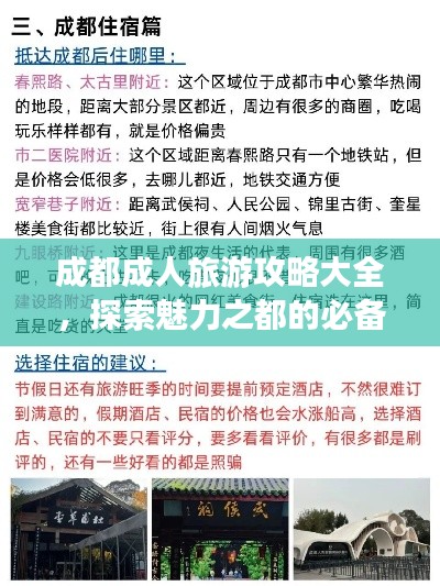 成都成人旅游攻略大全，探索魅力之都的必備指南！