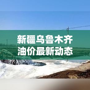 新疆烏魯木齊油價(jià)最新動(dòng)態(tài)及分析報(bào)告