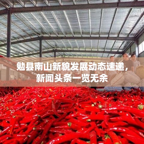 勉縣南山新貌發(fā)展動態(tài)速遞，新聞頭條一覽無余