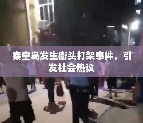 秦皇島發(fā)生街頭打架事件，引發(fā)社會熱議