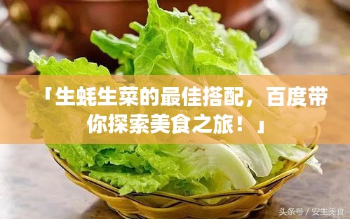 「生蠔生菜的最佳搭配，百度帶你探索美食之旅！」