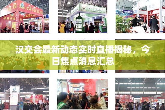 漢交會最新動態(tài)實時直播揭秘，今日焦點消息匯總