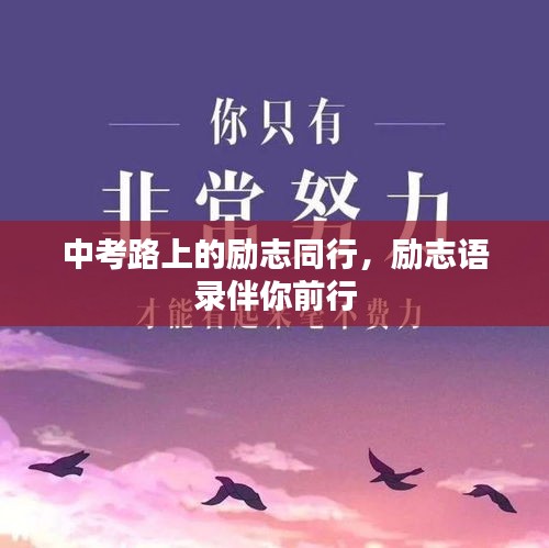 中考路上的勵志同行，勵志語錄伴你前行