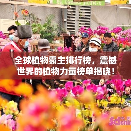 全球植物霸主排行榜，震撼世界的植物力量榜單揭曉！