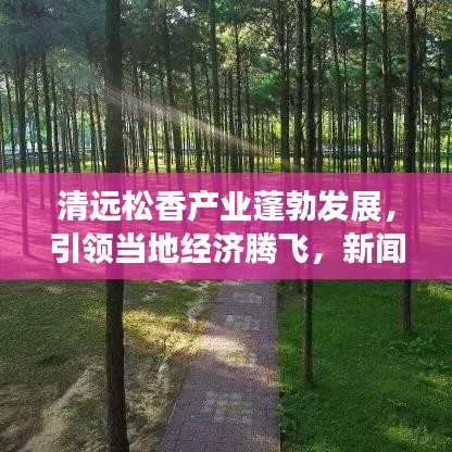 清遠(yuǎn)松香產(chǎn)業(yè)蓬勃發(fā)展，引領(lǐng)當(dāng)?shù)亟?jīng)濟(jì)騰飛，新聞頭條揭秘松香魅力