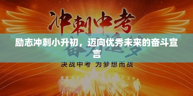 勵(lì)志沖刺小升初，邁向優(yōu)秀未來(lái)的奮斗宣言