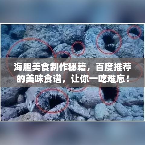 海膽美食制作秘籍，百度推薦的美味食譜，讓你一吃難忘！