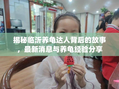 揭秘臨沂養(yǎng)龜達(dá)人背后的故事，最新消息與養(yǎng)龜經(jīng)驗(yàn)分享