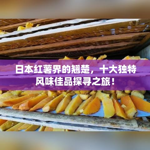 日本紅薯界的翹楚，十大獨(dú)特風(fēng)味佳品探尋之旅！