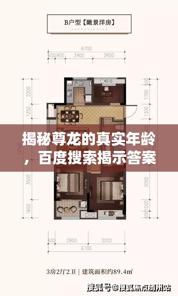 揭秘尊龍的真實年齡，百度搜索揭示答案！