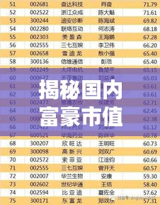 揭秘國內(nèi)富豪市值排名前十，誰是真正的億萬富翁？