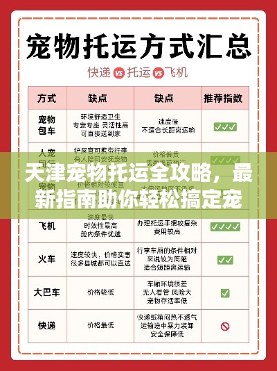 天津?qū)櫸锿羞\(yùn)全攻略，最新指南助你輕松搞定寵物出行！
