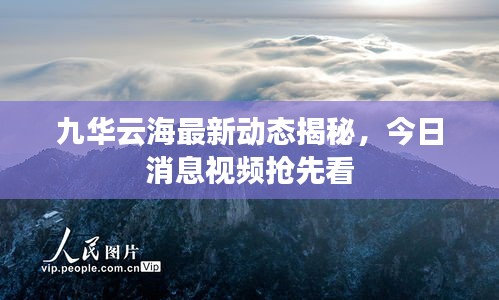 九華云海最新動態(tài)揭秘，今日消息視頻搶先看