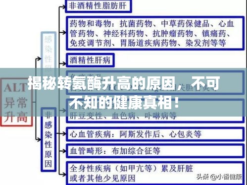 揭秘轉(zhuǎn)氨酶升高的原因，不可不知的健康真相！