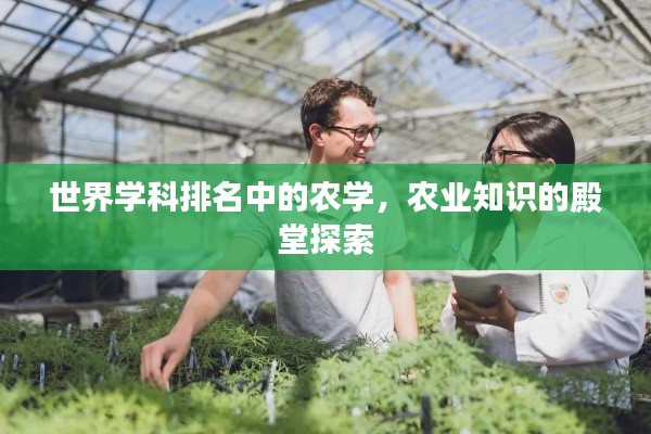 世界學科排名中的農學，農業(yè)知識的殿堂探索