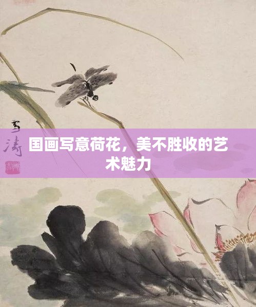 國畫寫意荷花，美不勝收的藝術(shù)魅力